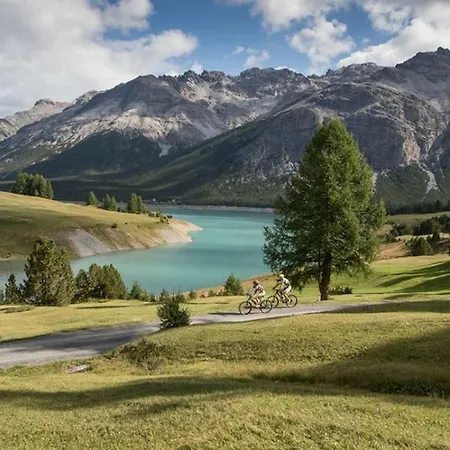 Rosengarden Alpine *